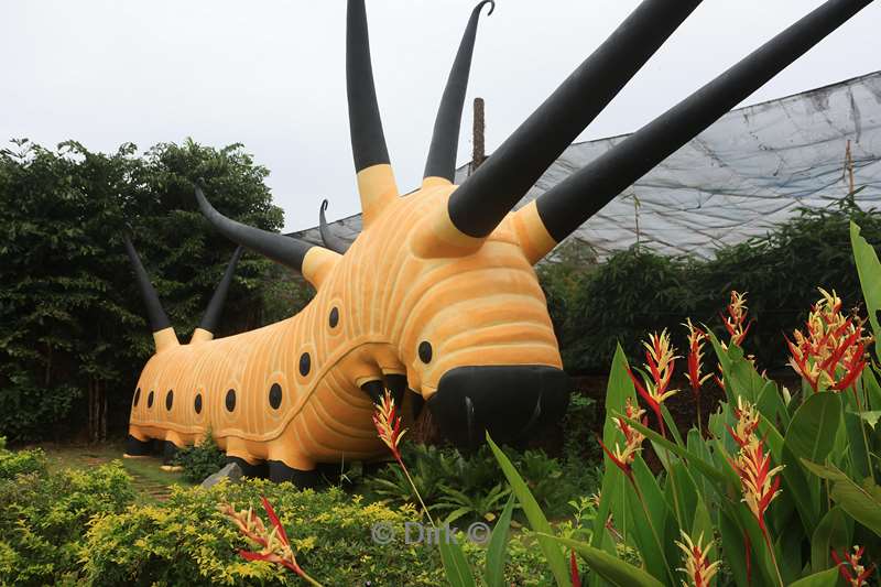 cambodia siem reap butterfly paradise