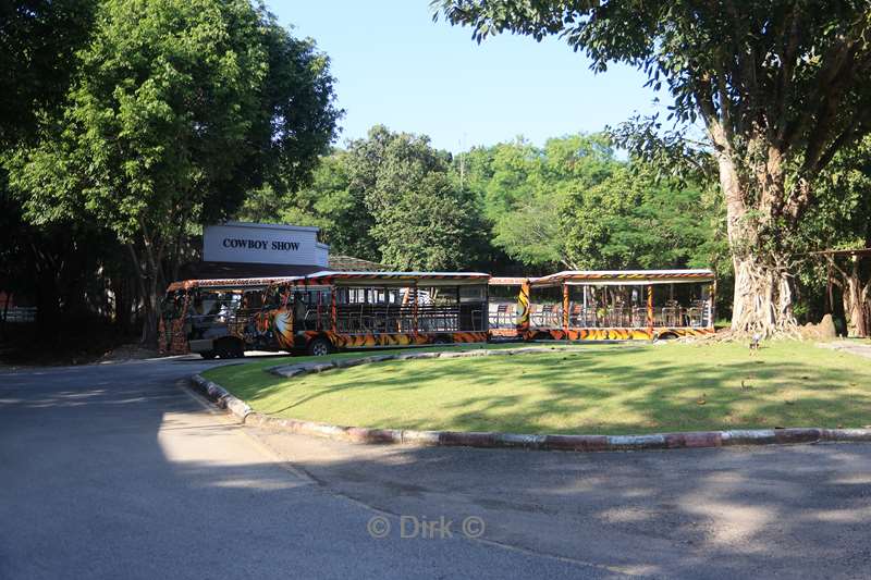 thailand chiang mai safari park