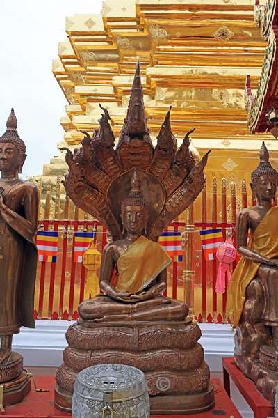 thailand chiang mai doi suthep tempel