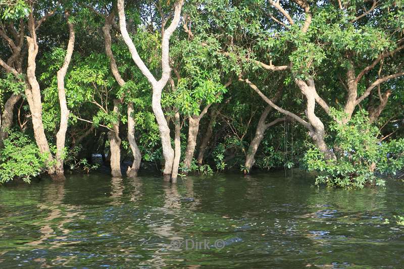 cambodia paalwoningendorp kampong phluk tonle sap meer