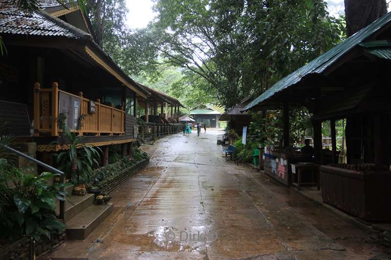 thailand  maesa elephant camp