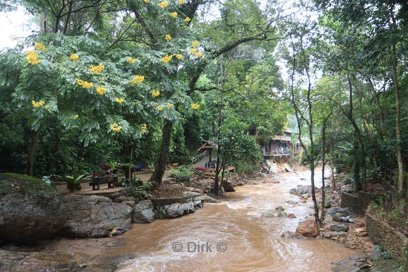 thailand  maesa elephant camp