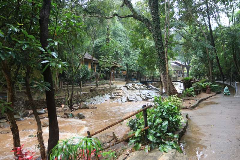 thailand  maesa elephant camp
