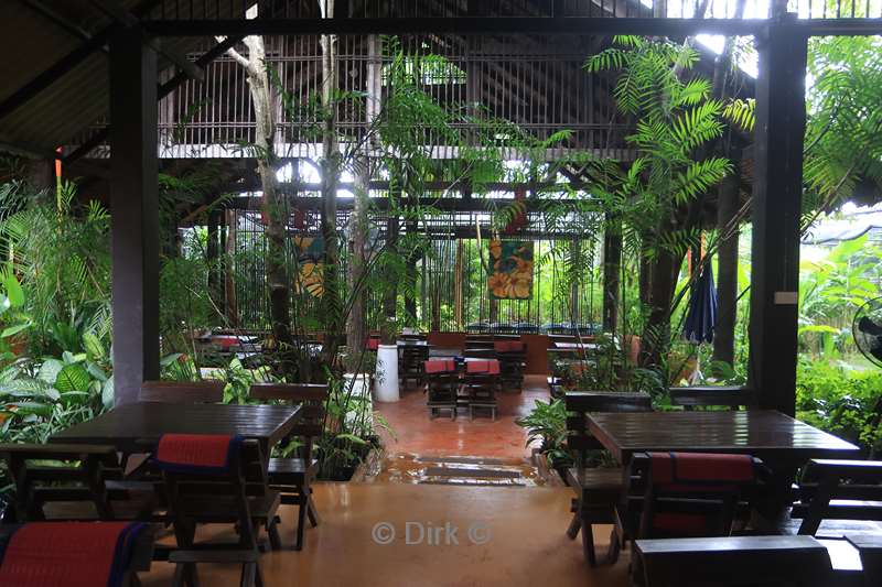 thailand orchideeen vlinder tuin