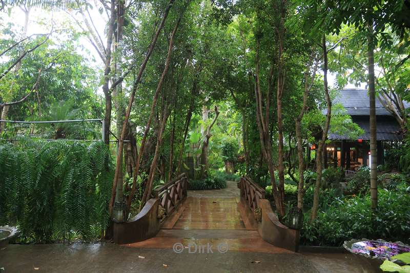 thailand orchideeen vlinder tuin