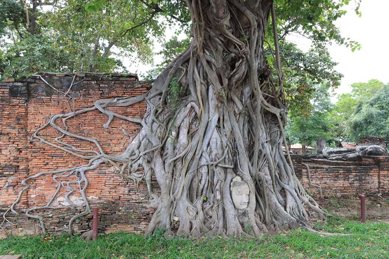 thailand oude hoofdstad ayuttaya