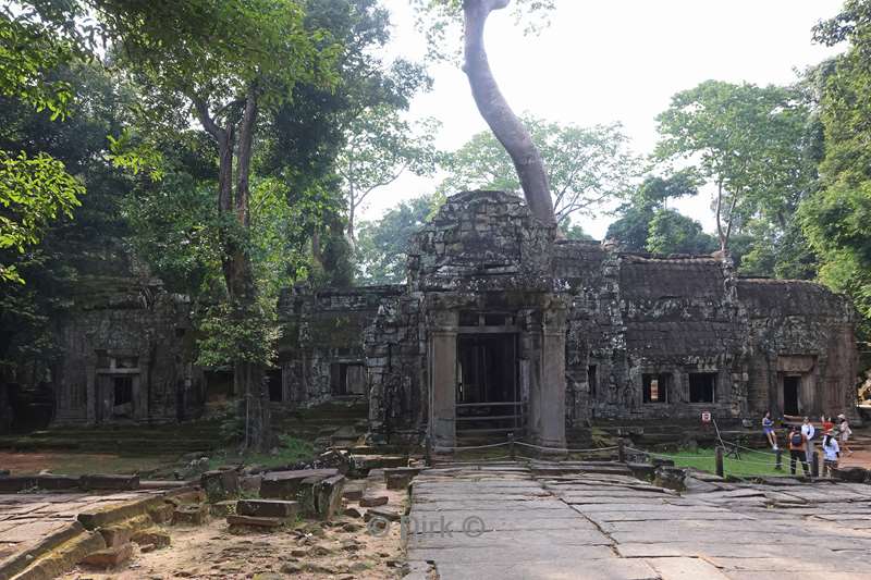 cambodia siem reap Ta Prohm tempel