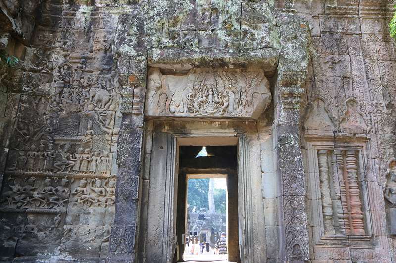 cambodia siem reap Ta Prohm tempel