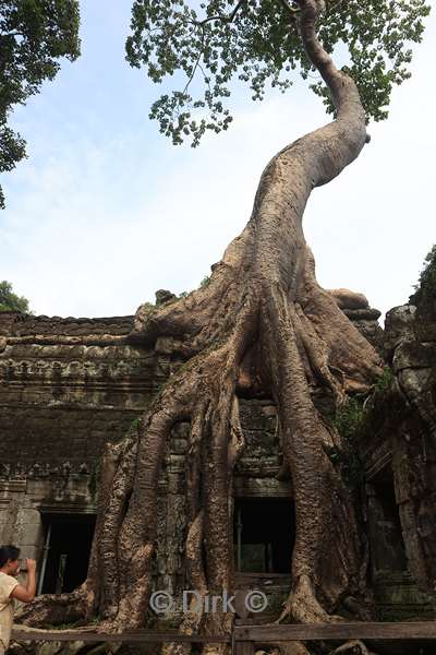 cambodia siem reap Ta Prohm tempel