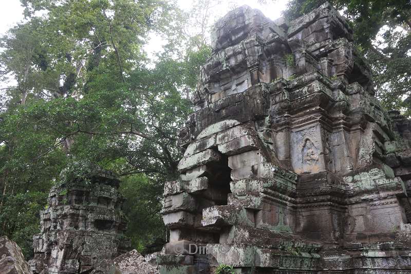cambodia siem reap Ta Prohm tempel