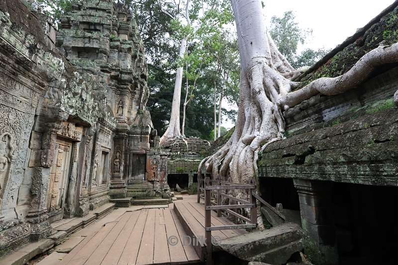 cambodia siem reap Ta Prohm tempel