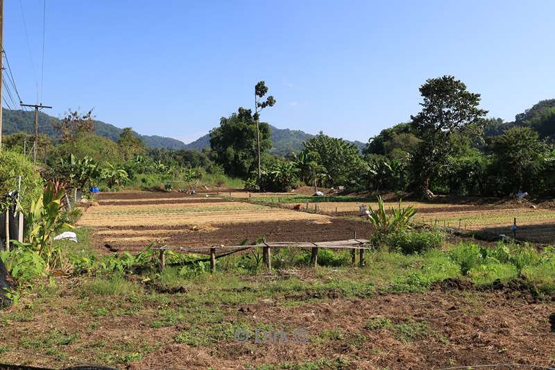 thailand Yao bevolking dorp
