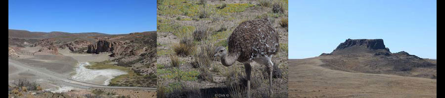 argentinie estancia santa thelma gobernador gregores 