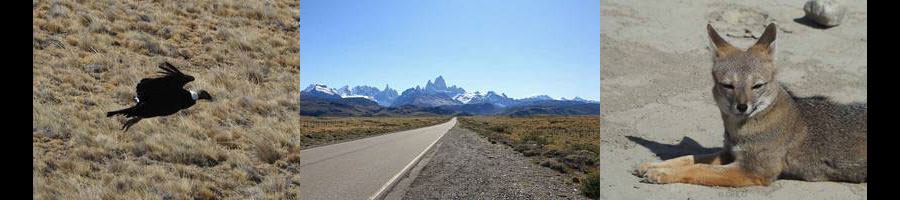 argentinie el chalten