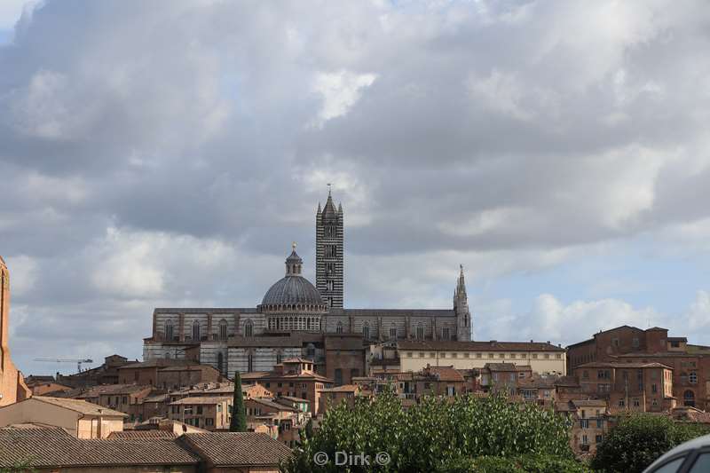 siena 