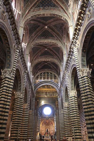 siena 