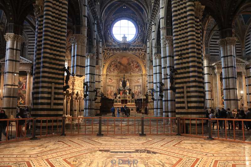 siena 