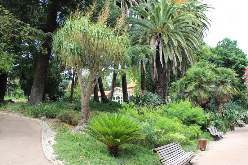 citytrip lissabon portugal park bairro alto