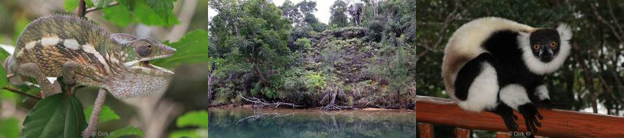 madagaskar palmarium hotel lemuren