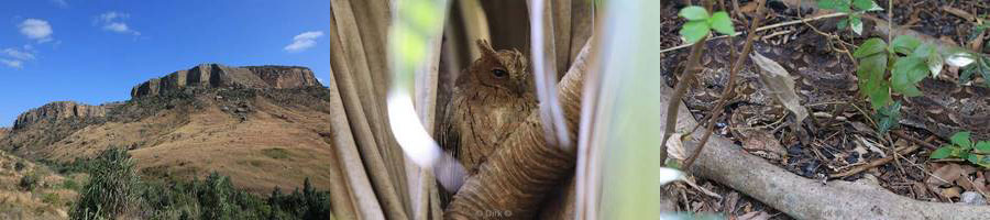 madagaskar isalo national park