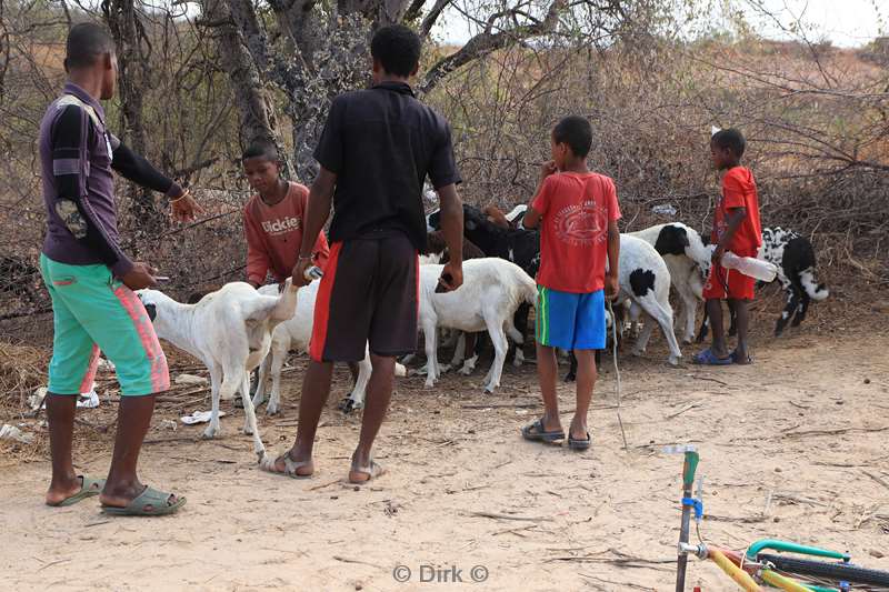 madagaskar morondava