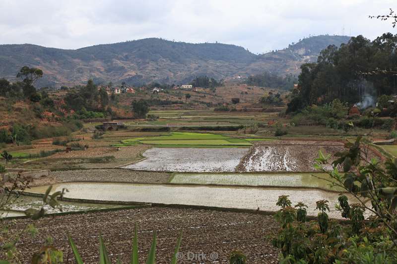 madagaskar ranomafana