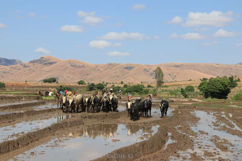 madagaskar tsaranoro valley