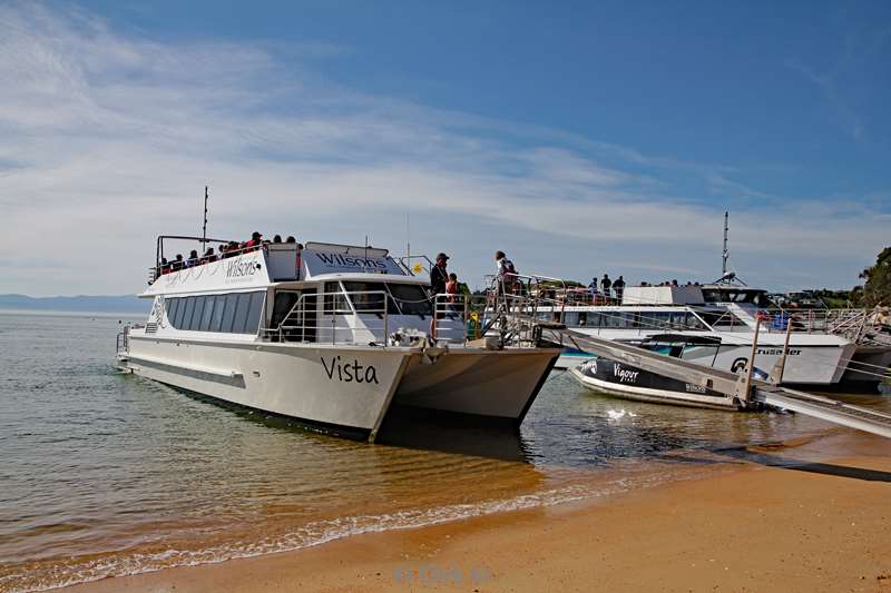 nieuw-zeeland abel tasman national park