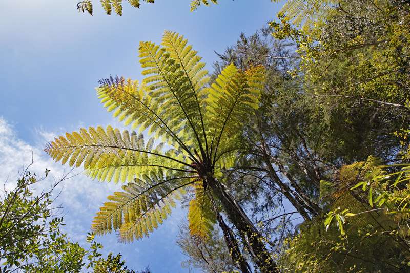 nieuw-zeeland abel tasman national park