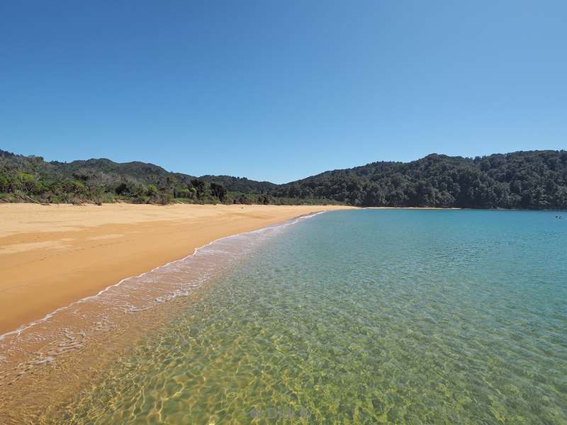 nieuw-zeeland abel tasman national park