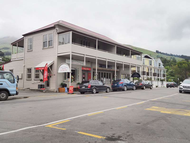 new zealand akaroa hectordolfijnen