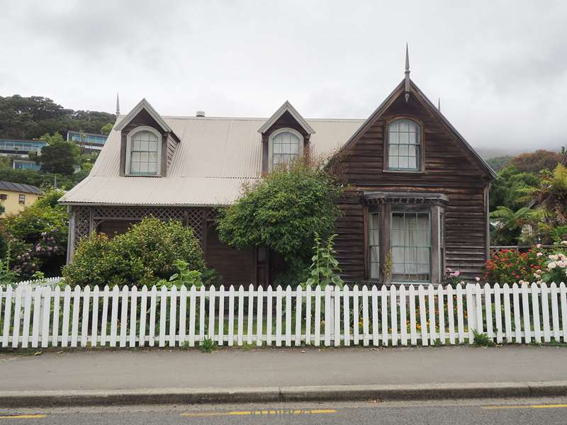 nieuw-zeeland akaroa hectordolfijnen