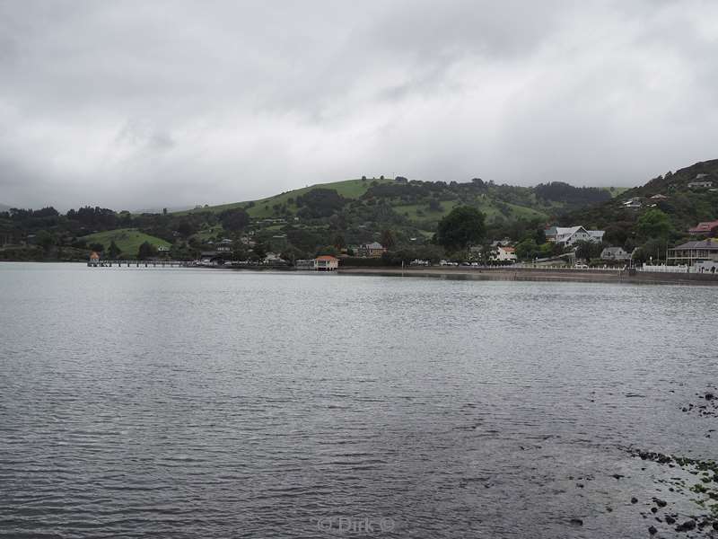 nieuw-zeeland akaroa hectordolfijnen