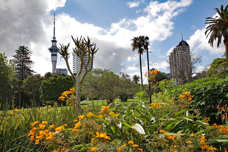 nieuw-zeeland Auckland