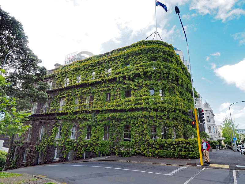 nieuw-zeeland Auckland