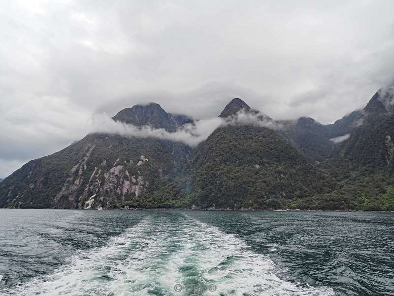 nieuw-zeeland cruise milford sound fjord