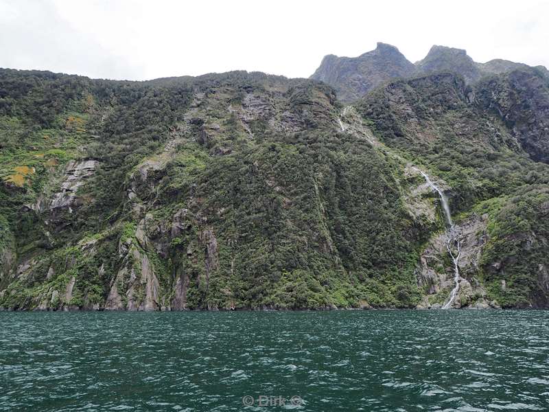 new zealand cruise milford sound fjord