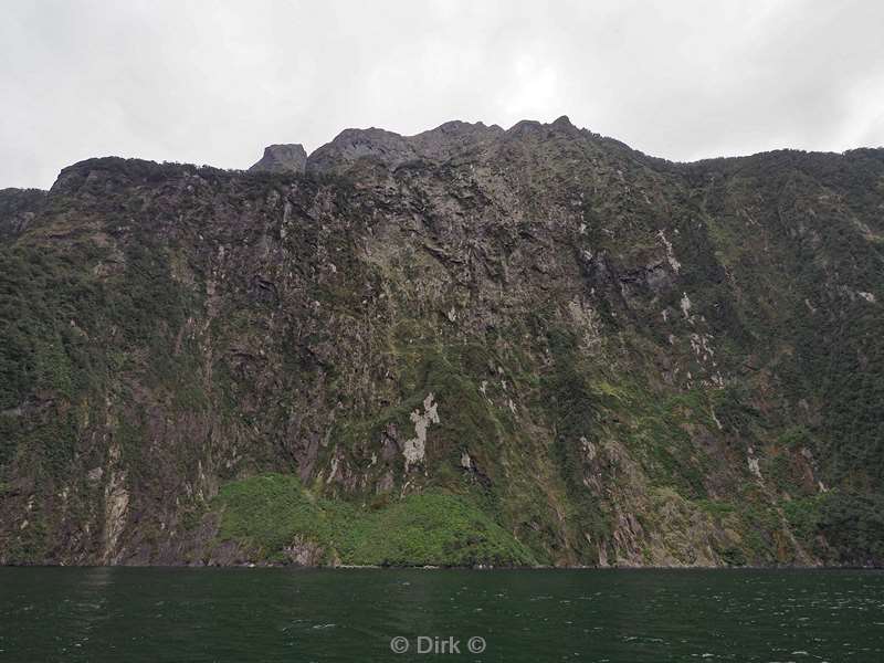 new zealand cruise milford sound fjord