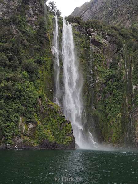 new zealand cruise milford sound fjord