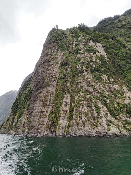 nieuw-zeeland cruise milford sound fjord