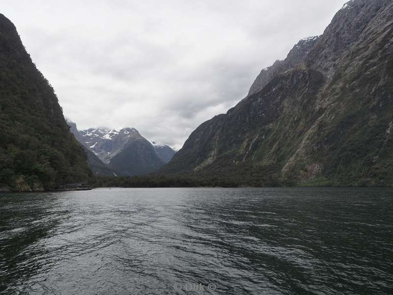 new zealand cruise milford sound fjord