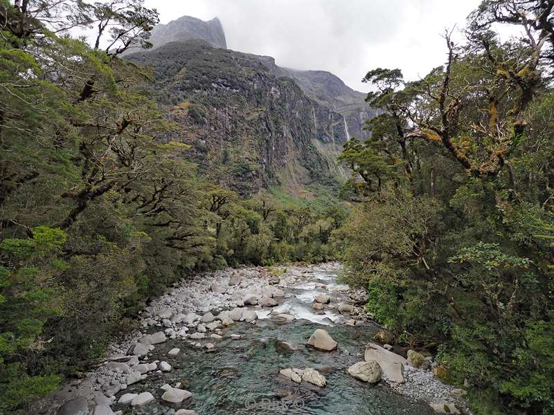 nieuw-zeeland cruise milford sound fjord