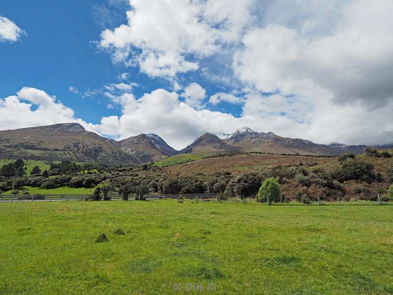 new zealand dart river