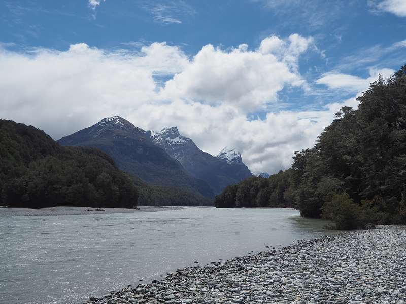 new zealand dart river