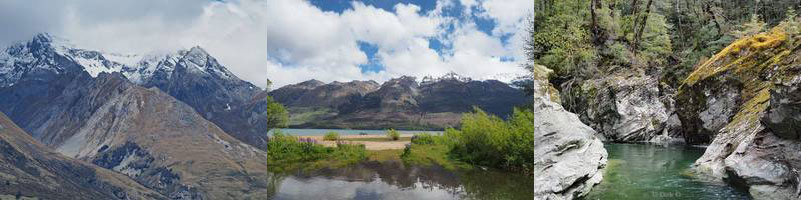 new zealand dart river