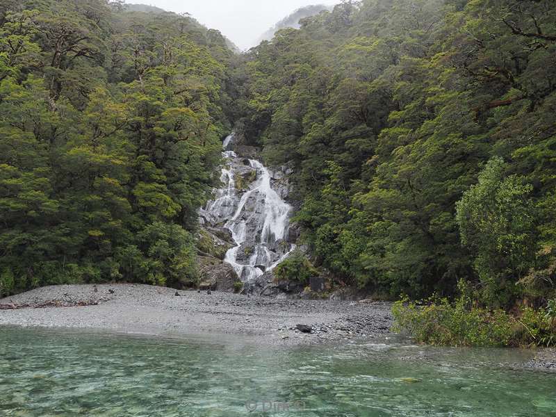 new zealand fox glacier