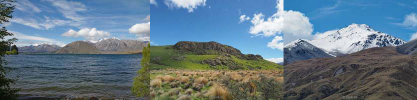 new zealand hakatere conservation park