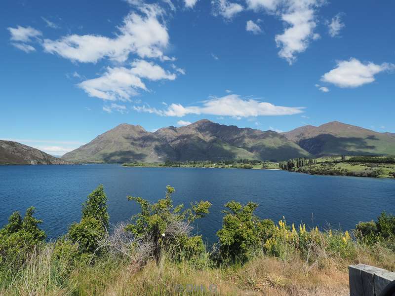 new zealand lake wanaka