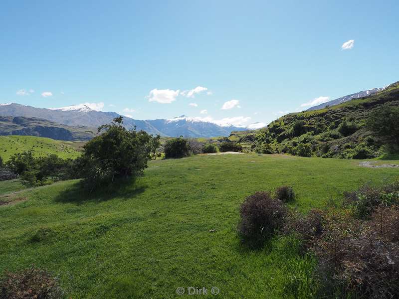 new zealand lake wanaka