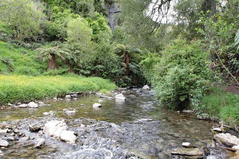 nieuw-zeeland otorohanga waitomo